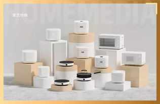 楊華 科技改變廚房,持續(xù)創(chuàng)新讓純米從0走到10個(gè)億